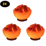 Fire Bowl Himalayan Salt Lamps