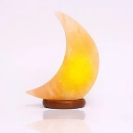 Moon Himalayan Salt Lamp With Dimmer Cable